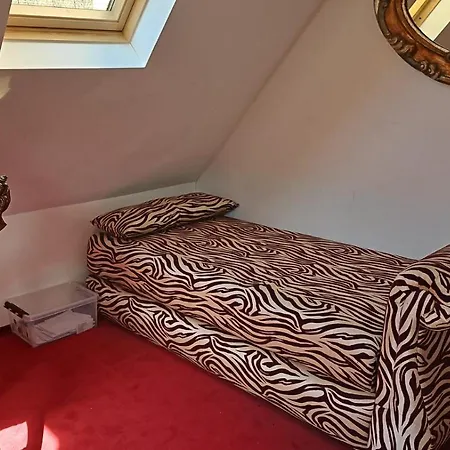 Kappel Mit Pool 펜션 프라이부르크 임 브리스가우